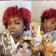 quavii