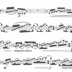 Introduction, Variations, and Finale on "The Friendly Beasts"