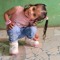 hosny farhat