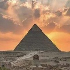 ابو عرب
