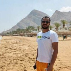 cvl ahmed elnady