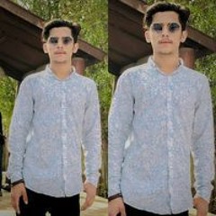 Ameer Hamza