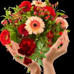 Mostafa Noor