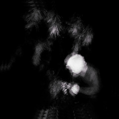 The Moratorium Atomic Nucleus