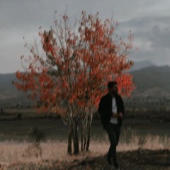 behramî
