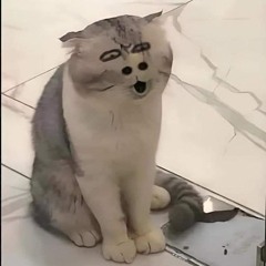 Potato🥔