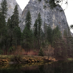 christy_in_the_speaker