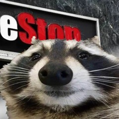 that Kool racoon