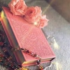 Heba Hussain