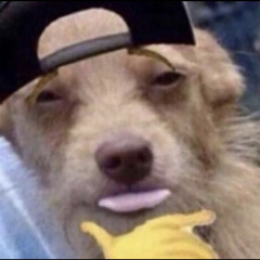 cupcakKe’s boytoy😩