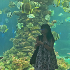 Nguyễn Lê Hoàng Ni