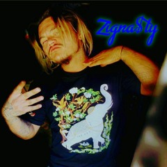 ZiGNa$ty
