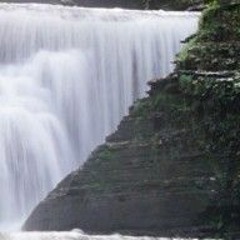 Sherwood_