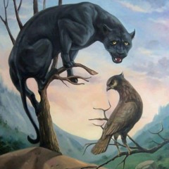 Yasmine Moustafa