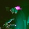 Jay Lik (Series of Taboo Records)