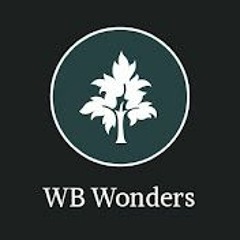 WB Wonders