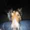 maggiemoo