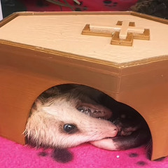 gottisttot
