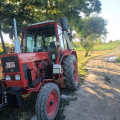 Matyi 80