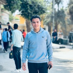 أحـمـد وسـام