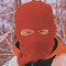 Spring Tu1ip
