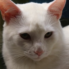 TOBYMAC - Love Broke Thru - Cover