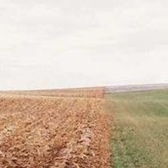 Tptjsth586