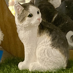 ო̤̹⺣̤̹ꗯ̤̮ꪔ̤̥