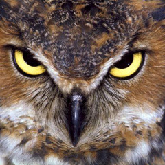Hitchcock