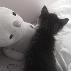 hhelolseekittyu