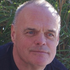 Olav Vittiger