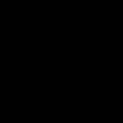 shadow_exe