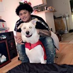 Apollo Ioane