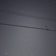 Luynus(선 율)
