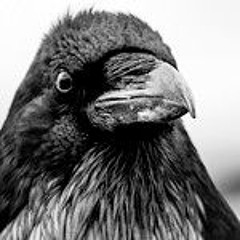 Barcelona Gipsy Klezmer Orchestra