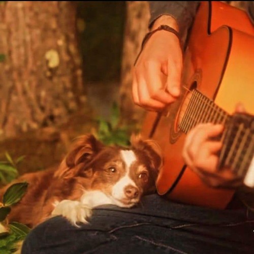 Stream Glimpse Ofavacado (Yuman) music Listen to songs, albums