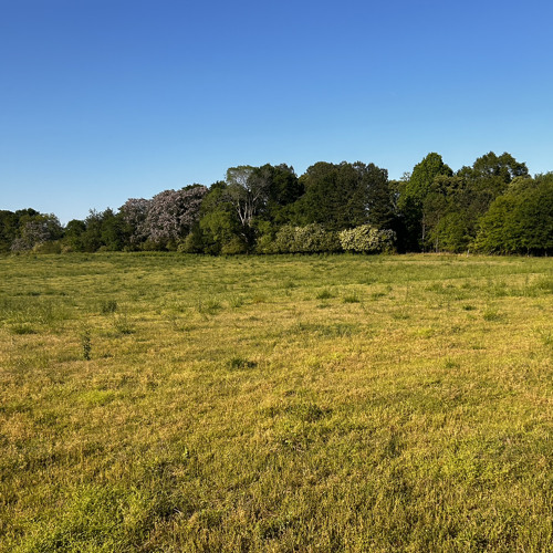 UntitledJun12024132PM.m4a