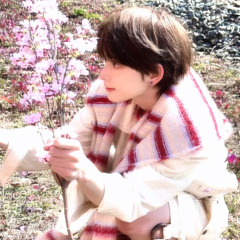 (๑'ᵕ'๑)⸝*