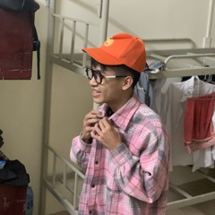 Le van anh