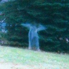 satunnainen archive 3