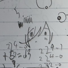 雛
