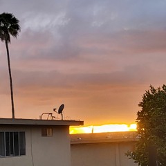 🇮🇹spidrskull🇲🇽🕷