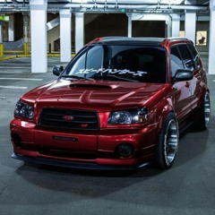SilverBackFXT