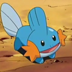 mudkip
