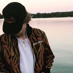 Lionheart/Jimmy Toothpicks