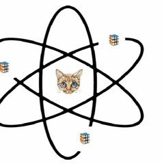 The Quantum Cat