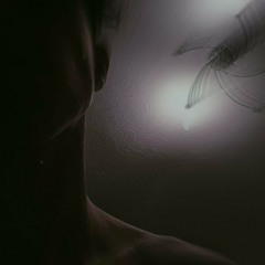 flexxrexxxt