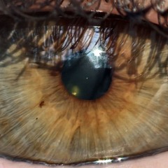 Gaia 3-6-9