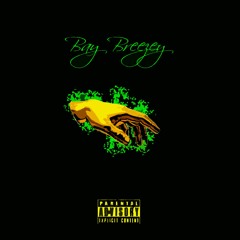 Bay Breezey
