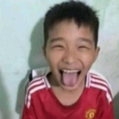 vu hoang